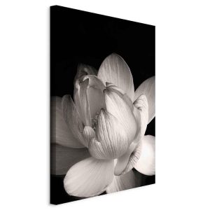 Tableau - Delicacy of Petals in Nature (1-part) - Flower in Black and White