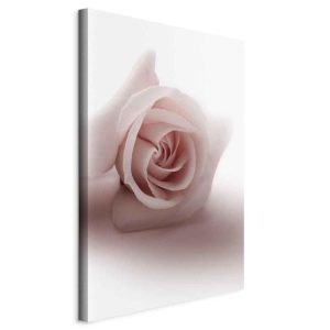 Tableau - Floral Glamour Glow (1-part) - Delicate and Pastel Pink Rose