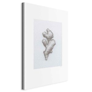 Tableau - Ginger (1 Part) Vertical