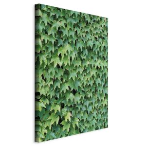 Tableau - Thick Ivy (1 Part) Vertical
