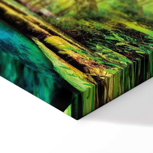 Tableau - A Jewel of Nature