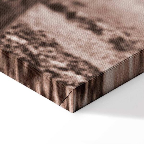 Tableau - A Scottish Cow in Sepia