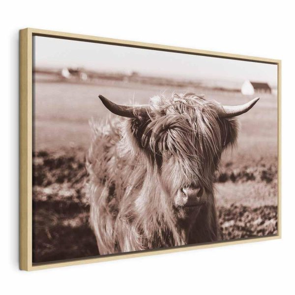 Tableau - A Scottish Cow in Sepia