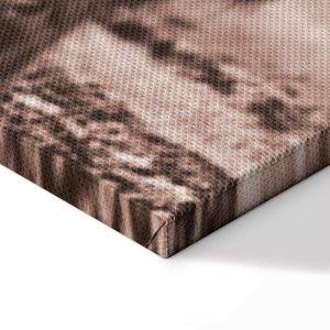 Tableau - A Scottish Cow in Sepia