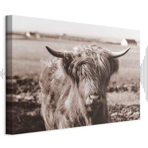 Tableau - A Scottish Cow in Sepia