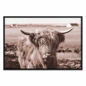 Tableau - A Scottish Cow in Sepia
