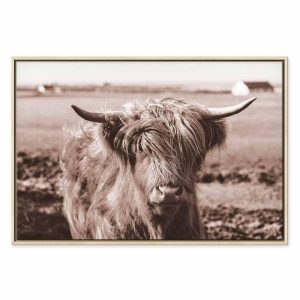 Tableau - A Scottish Cow in Sepia
