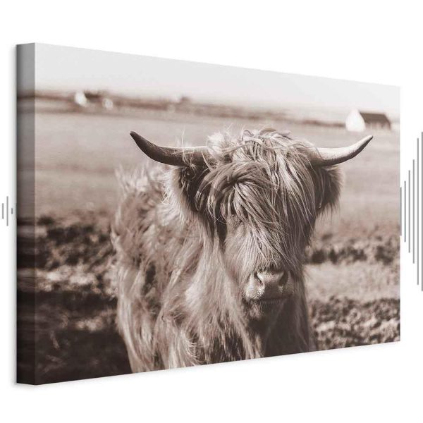 Tableau - A Scottish Cow in Sepia