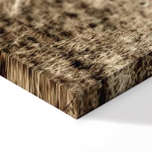 Tableau - Abandoned Ranch (1 Part) Vertical