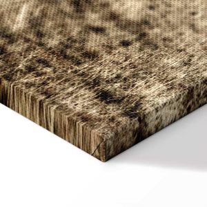 Tableau - Abandoned Ranch (1 Part) Vertical