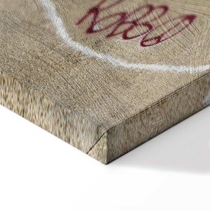 Tableau - Banksy's Plane (1-part) - Red Graffiti Text on Mural Background