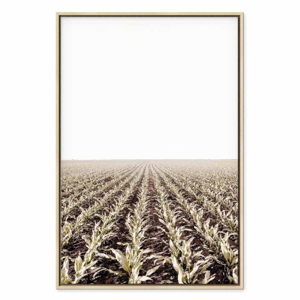 Tableau - Corn Field (1 Part) Vertical
