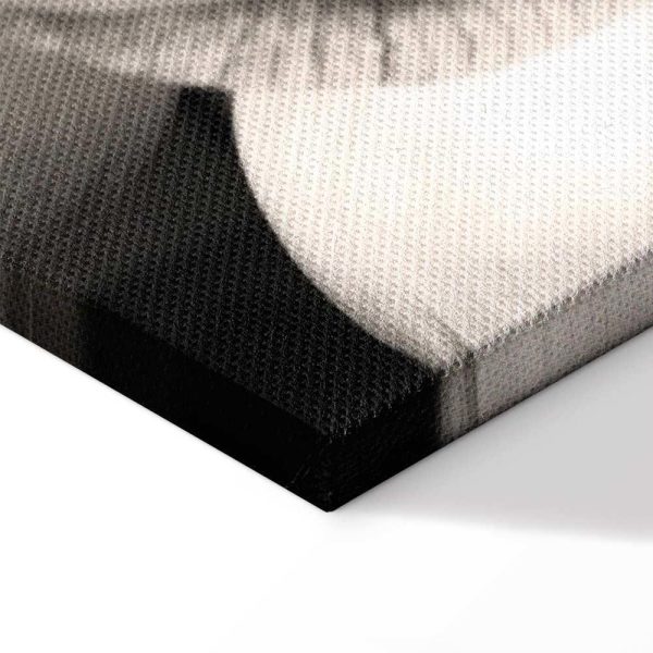 Tableau - Delicacy of Petals in Nature (1-part) - Flower in Black and White