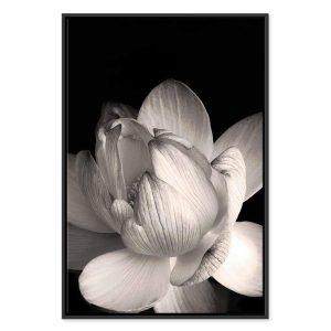 Tableau - Delicacy of Petals in Nature (1-part) - Flower in Black and White