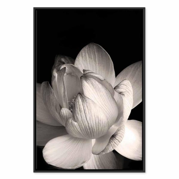 Tableau - Delicacy of Petals in Nature (1-part) - Flower in Black and White