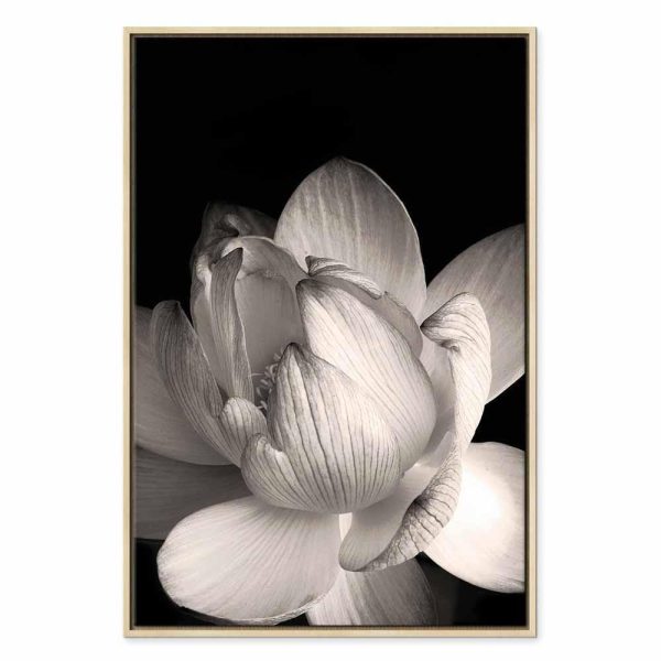 Tableau - Delicacy of Petals in Nature (1-part) - Flower in Black and White