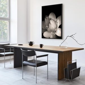 Tableau - Delicacy of Petals in Nature (1-part) - Flower in Black and White