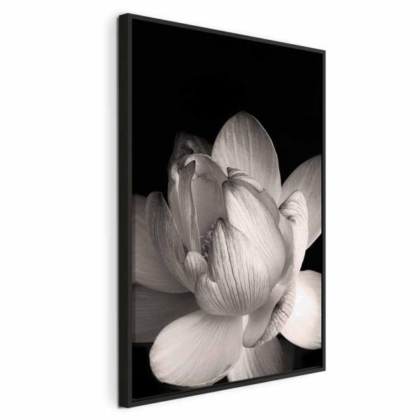 Tableau - Delicacy of Petals in Nature (1-part) - Flower in Black and White