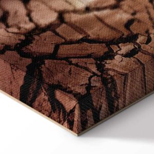 Tableau - Drought (1 Part) Vertical