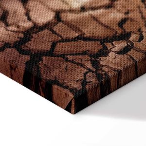 Tableau - Drought (1 Part) Vertical