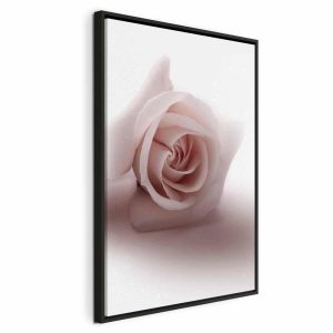 Tableau - Floral Glamour Glow (1-part) - Delicate and Pastel Pink Rose