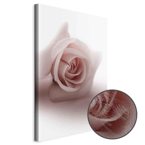 Tableau - Floral Glamour Glow (1-part) - Delicate and Pastel Pink Rose