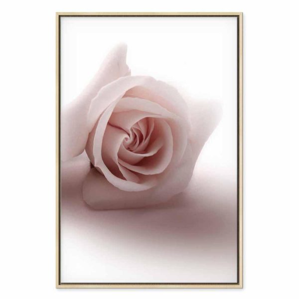 Tableau - Floral Glamour Glow (1-part) - Delicate and Pastel Pink Rose