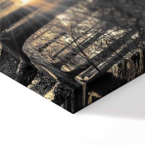 Tableau - Forest Sun