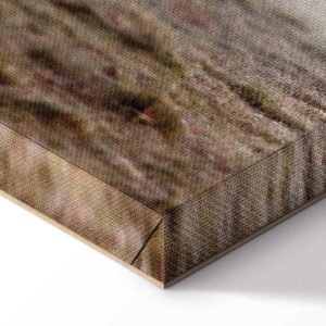 Tableau - Friends in the Morning (1 Part) Vertical