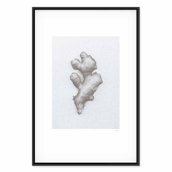 Tableau - Ginger (1 Part) Vertical