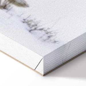 Tableau - Hare (1 Part) Wide