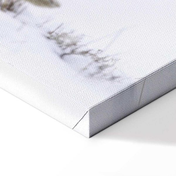 Tableau - Hare (1 Part) Wide