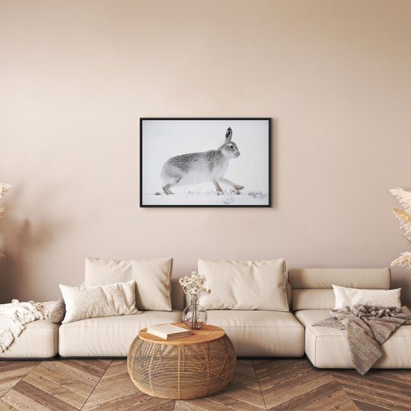 Tableau - Hare (1 Part) Wide