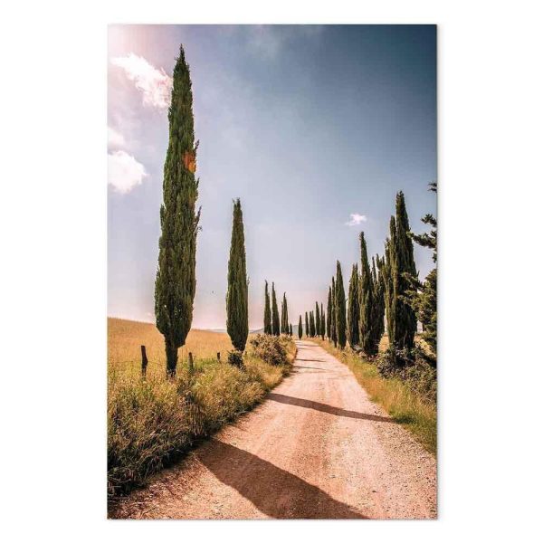 Tableau - Italian cypresses (1 Part) Vertical
