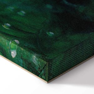 Tableau - John William Waterhouse – Circe Invidiosa