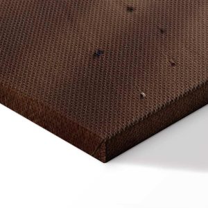 Tableau - Light of Hope (1 Part) Vertical