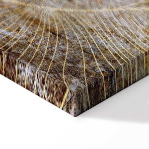 Tableau - Magic of Luxury (1 Part) Narrow