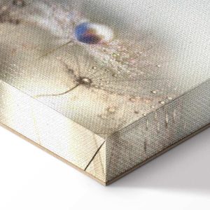 Tableau - Morning Song