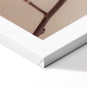 Tableau - Softness of Cotton (1 Part) Vertical