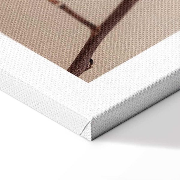 Tableau - Softness of Cotton (1 Part) Vertical