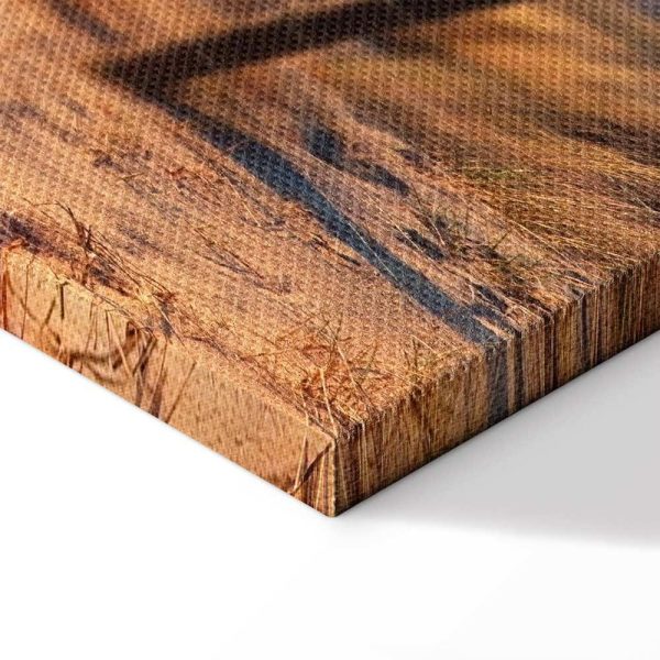 Tableau - Sunset Path