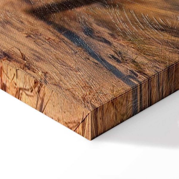 Tableau - Sunset Path