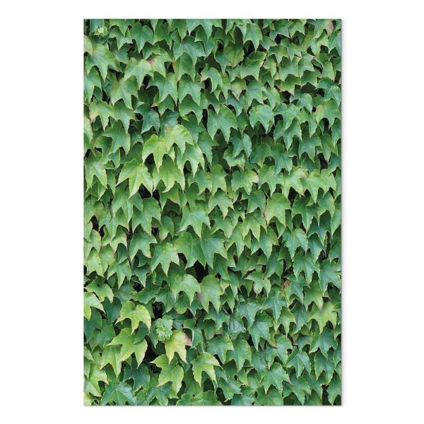 Tableau - Thick Ivy (1 Part) Vertical