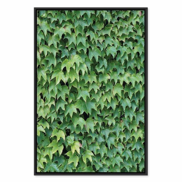 Tableau - Thick Ivy (1 Part) Vertical