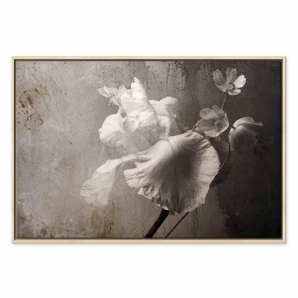 Tableau - Venetian Splendor (1 Part) Wide