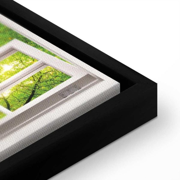 Tableau - Window: View on Forest