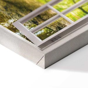 Tableau - Window: View on Forest