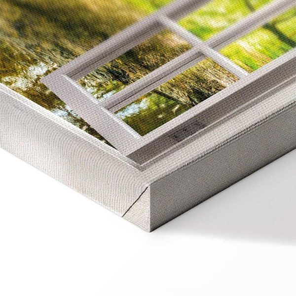 Tableau - Window: View on Forest