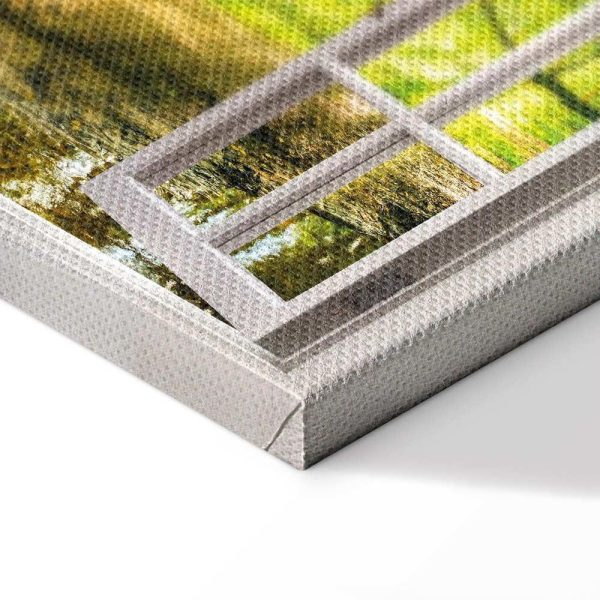 Tableau - Window: View on Forest