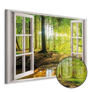Tableau - Window: View on Forest